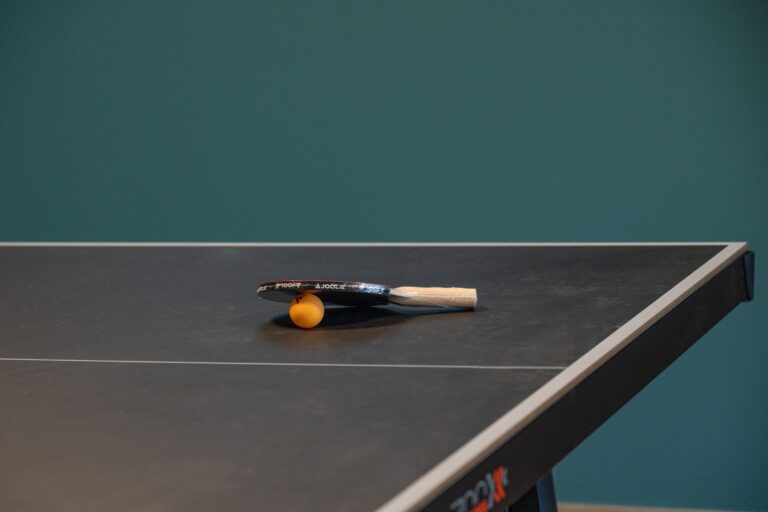 Tischtennisplatte im Gemeinschaftsraum von Deck9 am Haff.